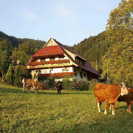 Unterer Gurethshof Apartment Zell am Harmersbach Exterior photo