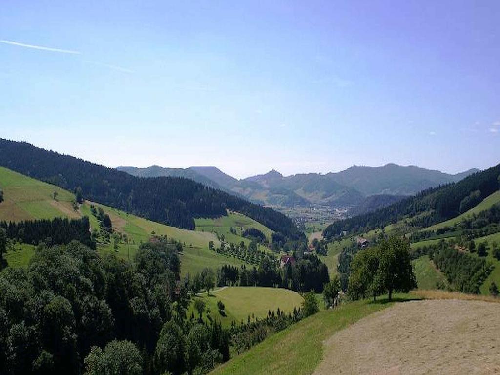 Unterer Gurethshof Apartment Zell am Harmersbach Exterior photo