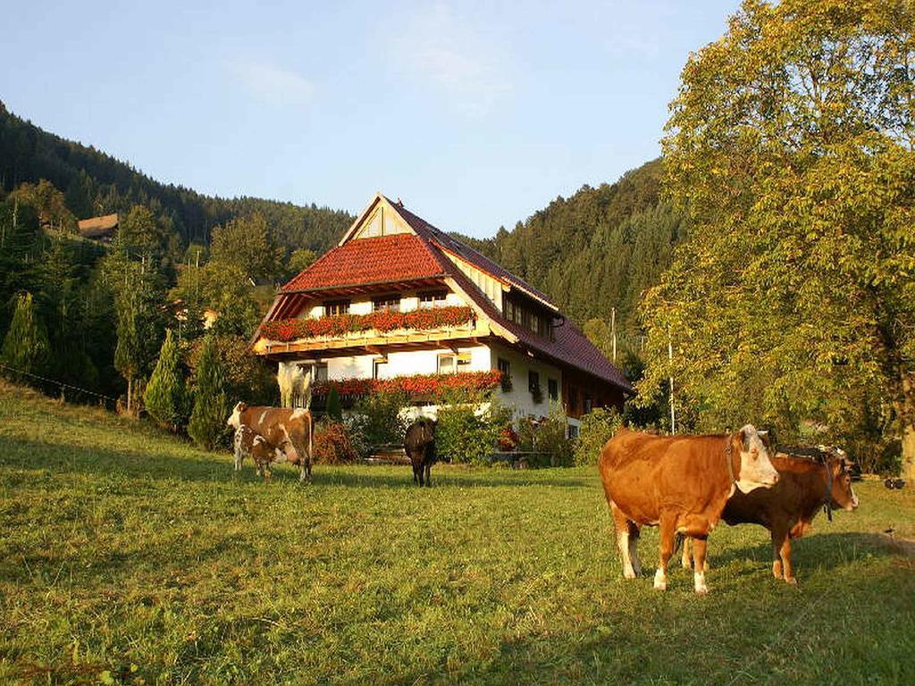 Unterer Gurethshof Apartment Zell am Harmersbach Exterior photo